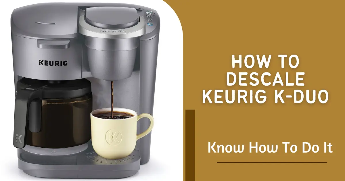 How To Descale Keurig K-Duo